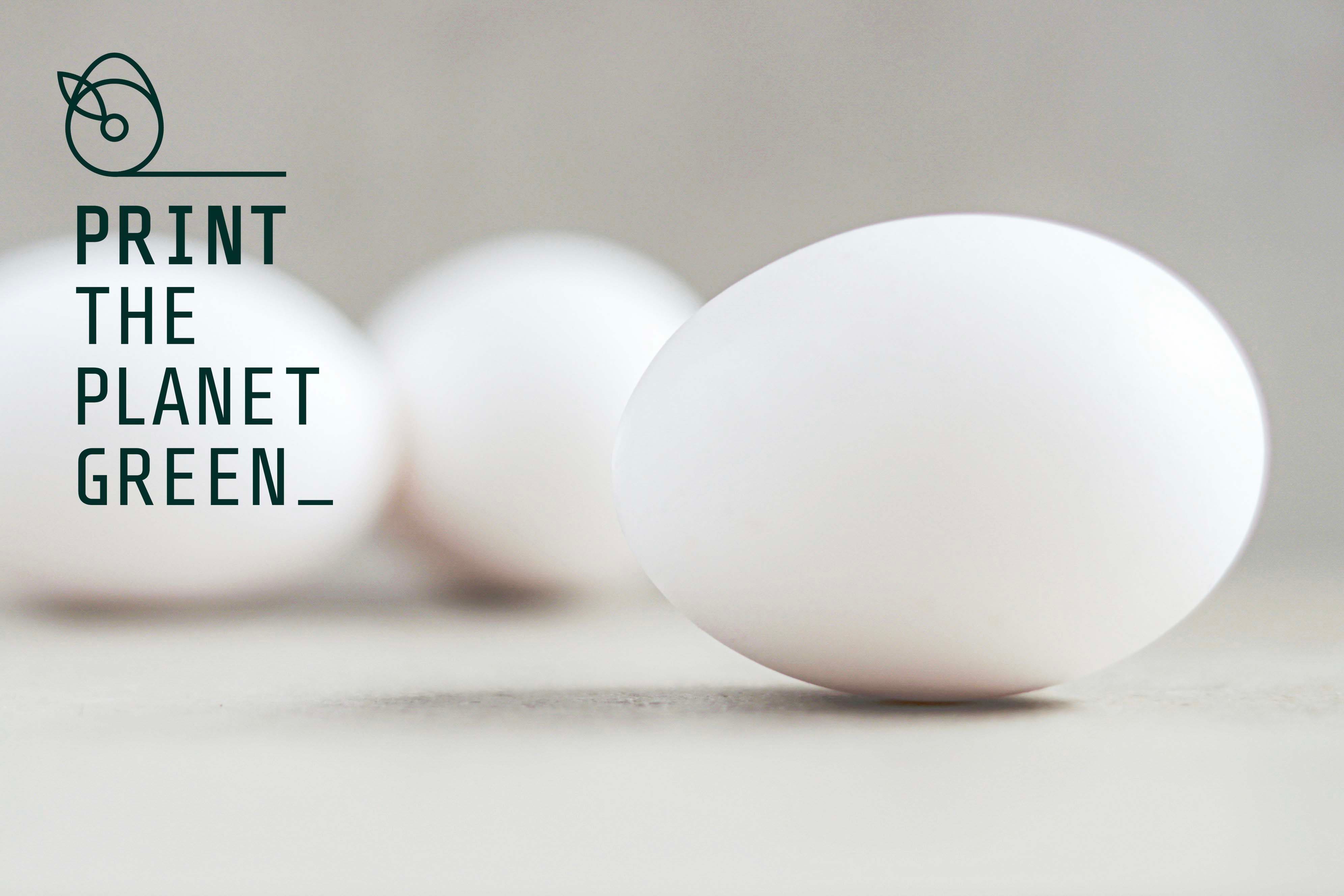 Print the Planet Green | Eggshell filament development
